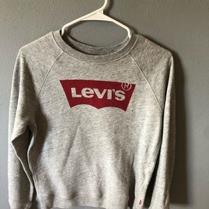 grey levi’s hoodie